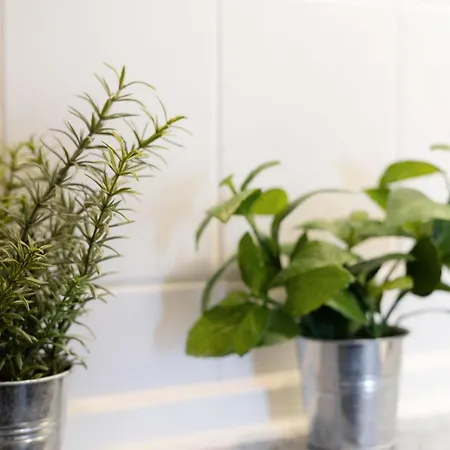 Apartment Haus Meeresgruß Meeresgruß Grömitz